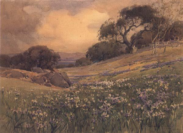 Landscape with Field of Iris, unknow artist